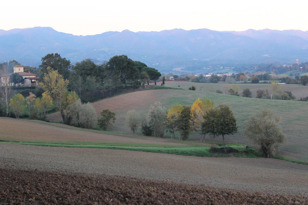 Intorno Firenze B&B San Piero a Sieve Exterior foto